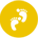 荣誉展示
